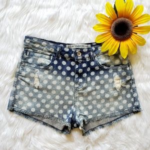 Zara Trafaluc Distressed Polka Dot High Rise Short